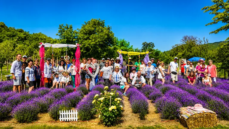 Lavanda de sub deal