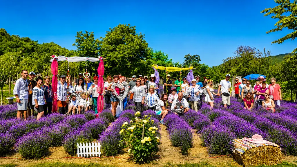 Lavanda de sub Deal